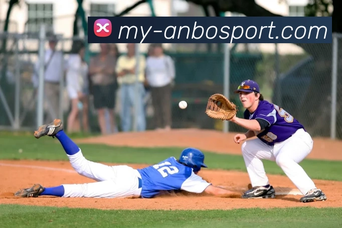 安博体育服务体系